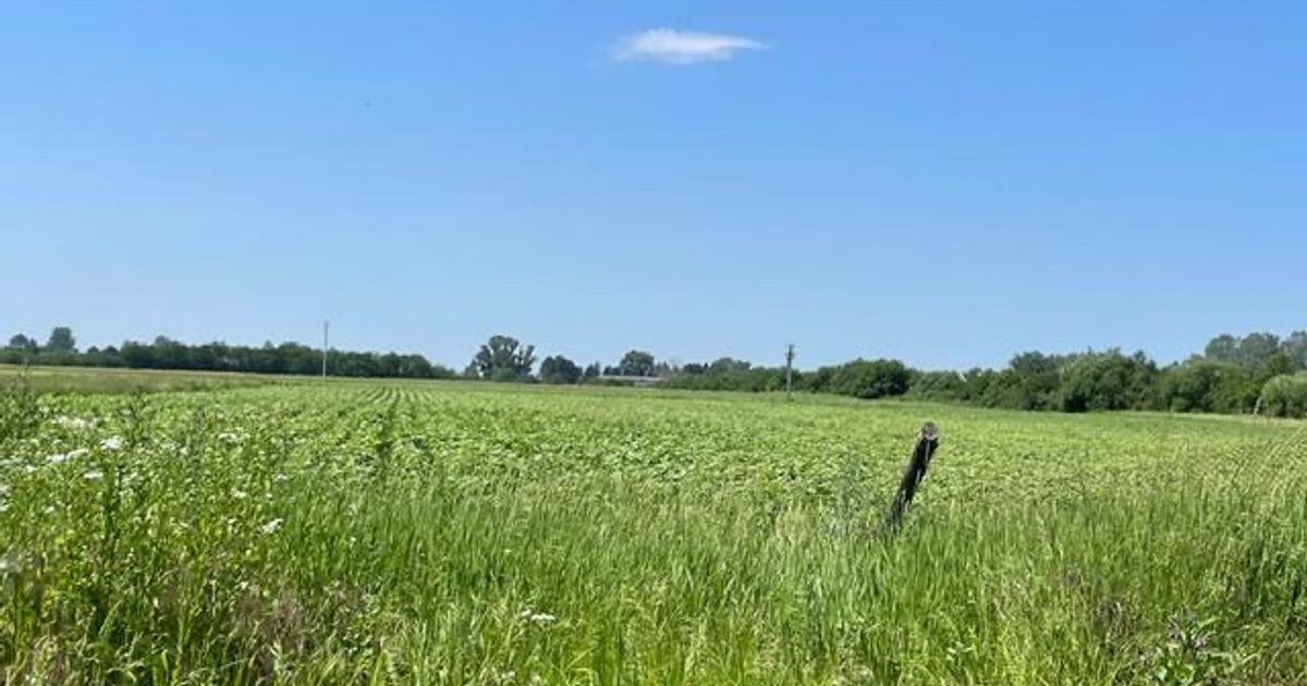 Oportunitate Gura Foii – 17.700 mp teren compact, 75 000 EUR