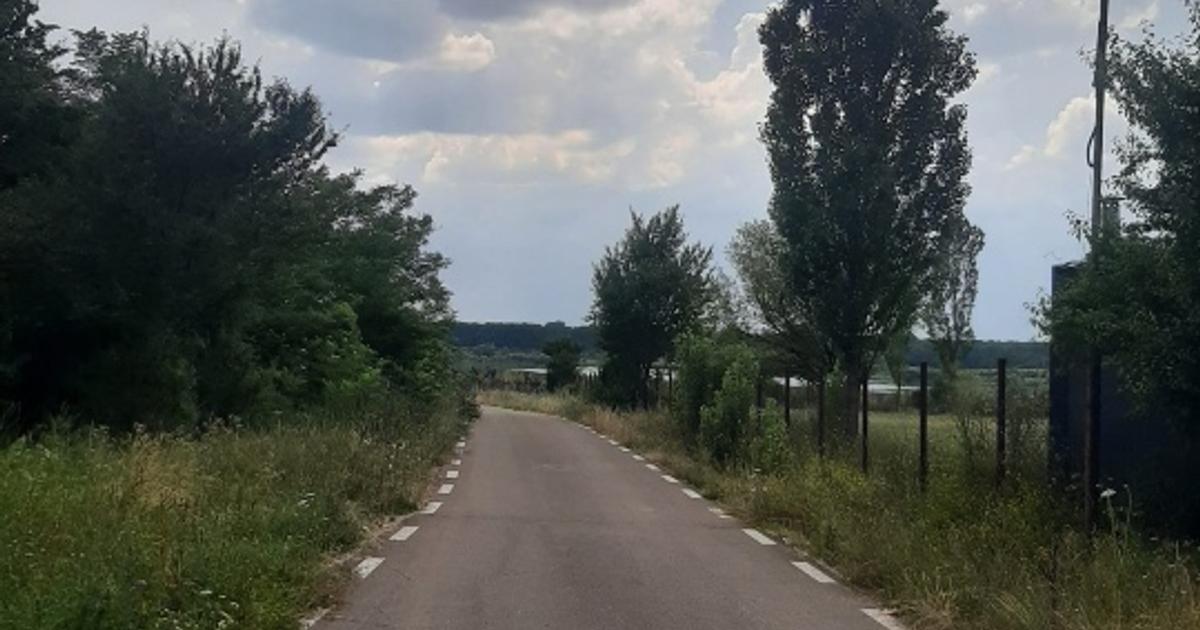PROPRIETAR Teren stradal ILFOVENI