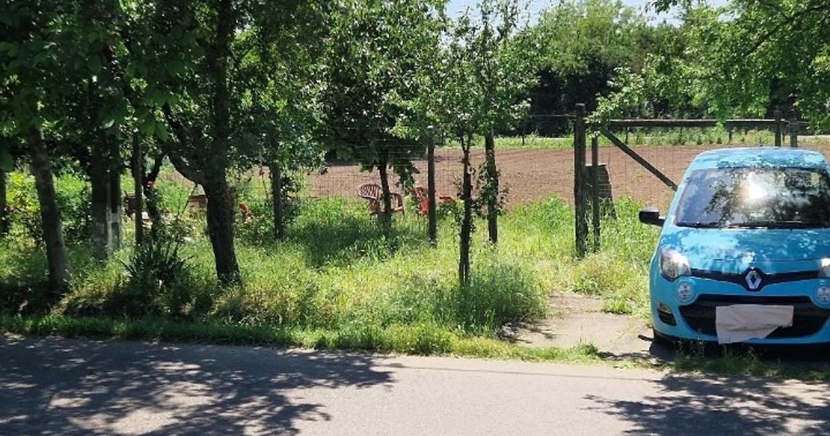 Vând teren intravilan zona Rasimnicea