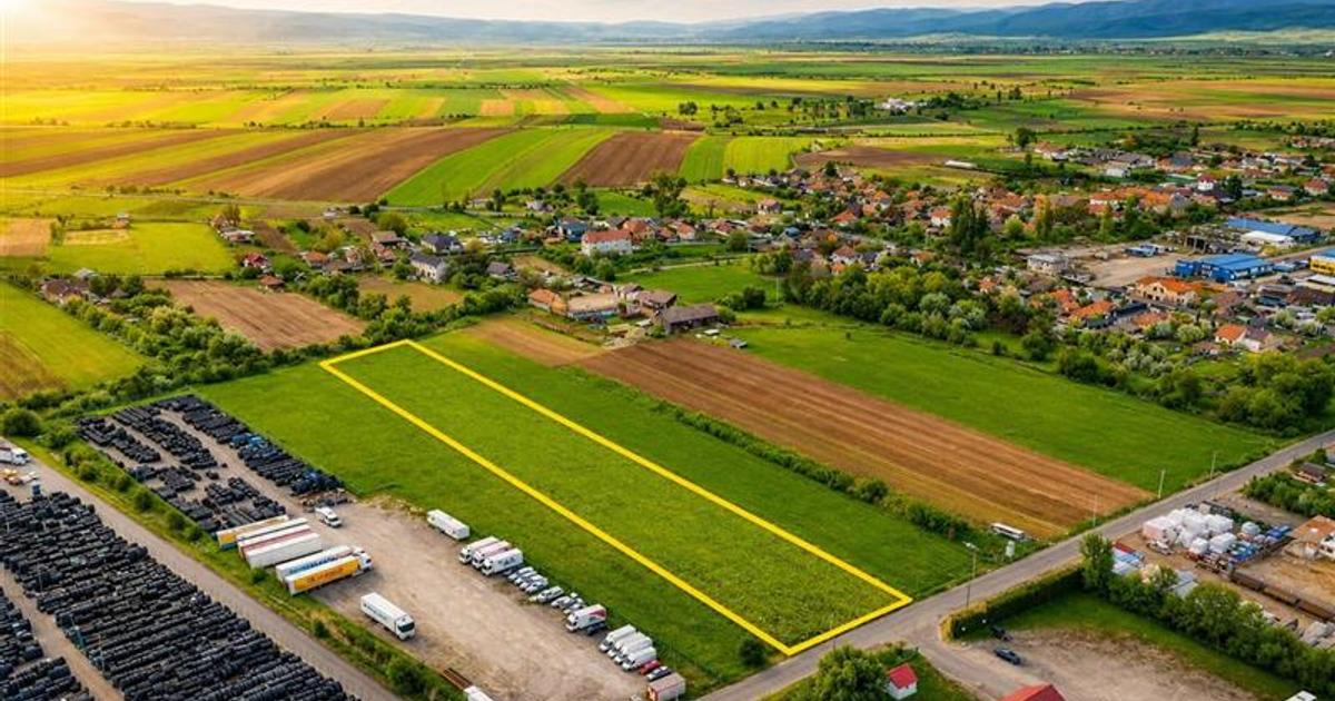 FILM! 5.000 mp teren, la marginea orasului Targu Secuiesc, aria industriala