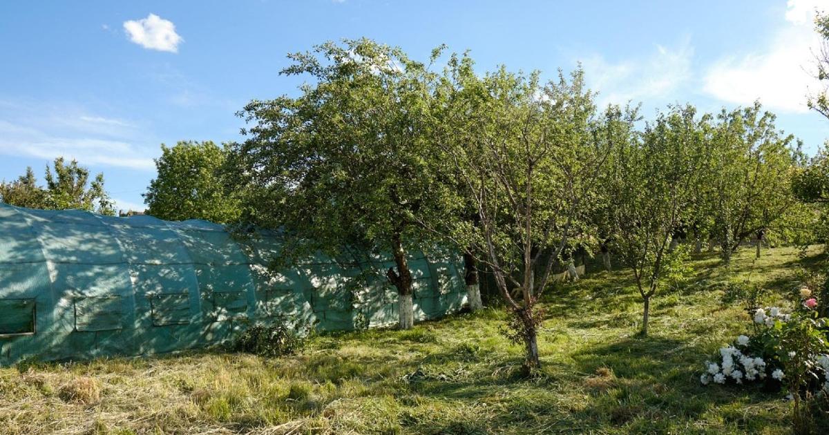 Teren intravilan 646 mp – Str. Căprioarei, Zalău – Utilități și acces asfaltat