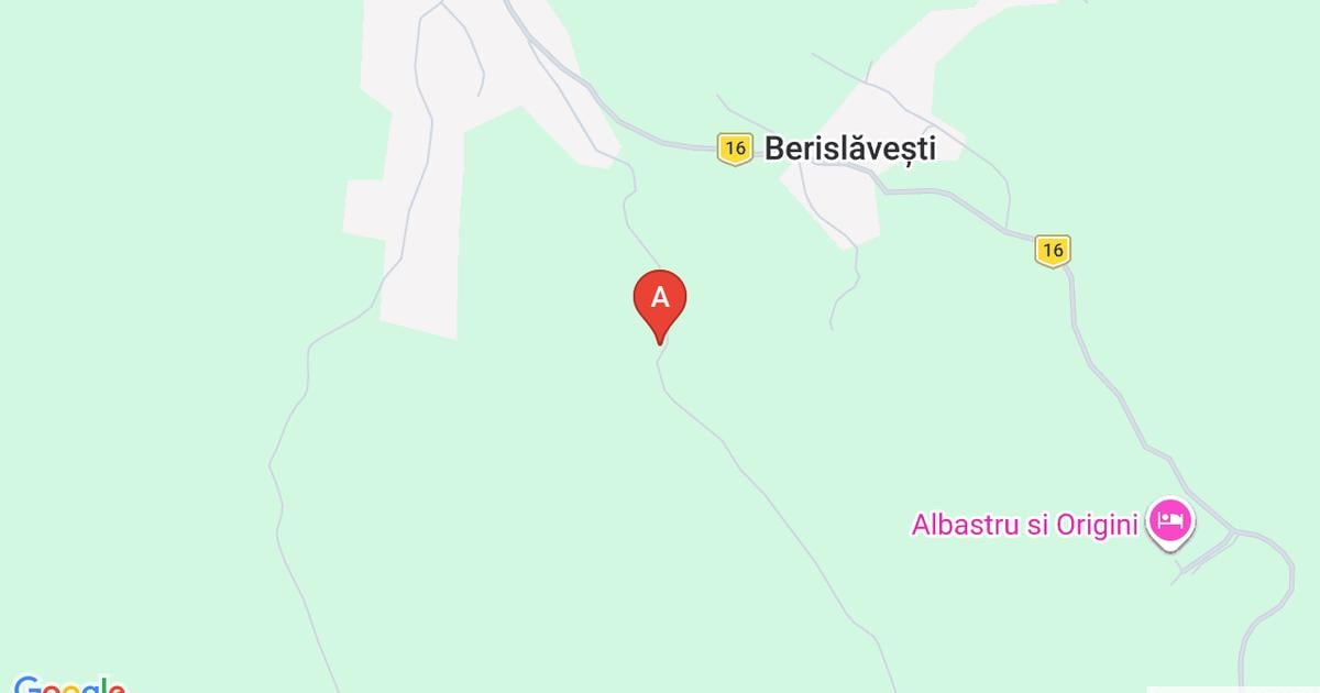 Teren extravilan de 14000 mp, în Berislăvești