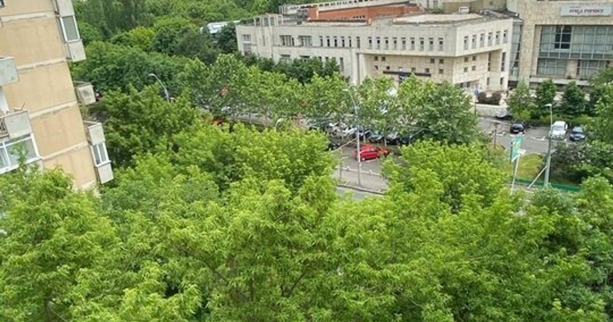 Proprietar, ap 2 cam vedere Parcul Tineretului, 1981, AC, boiler