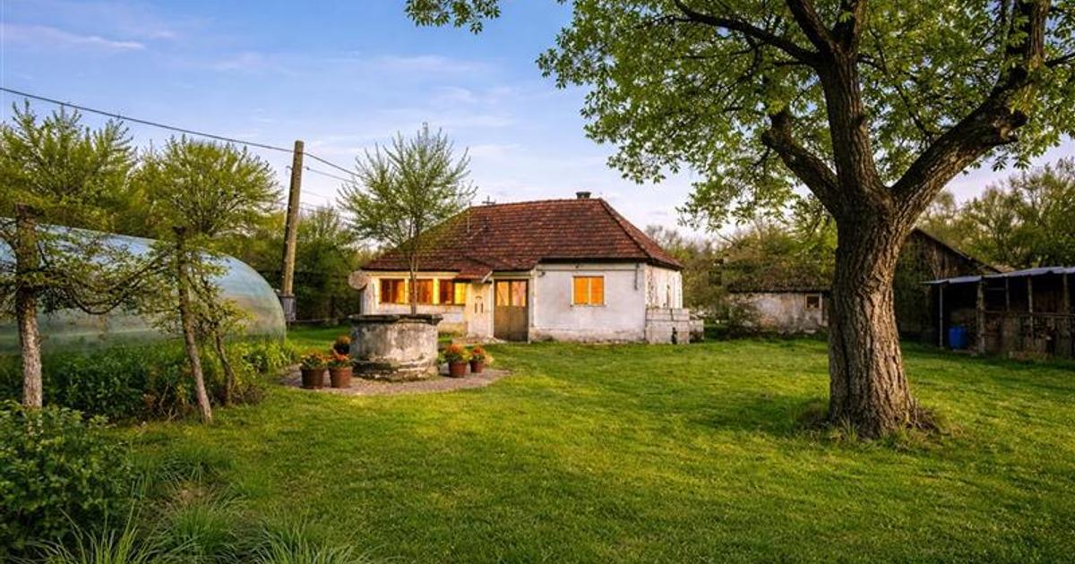 FILM! Casa cu sura, pivnita, balta cu pesti, 2.280 mp teren roditor, Lemnia, Cov