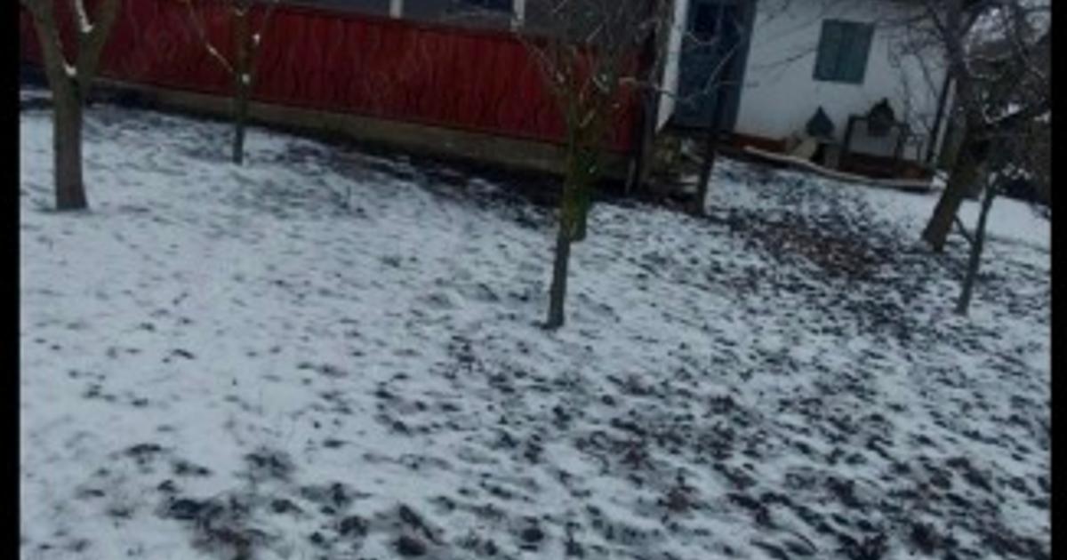 Casă 75 mp + teren 2700 mp în Șerbănești | Curte și grădină