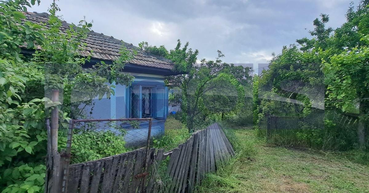 VANZARE CASA | TEREN 2500 MP | LIVADA SI VIE | SAT BREBINA – SCRIOASTEA