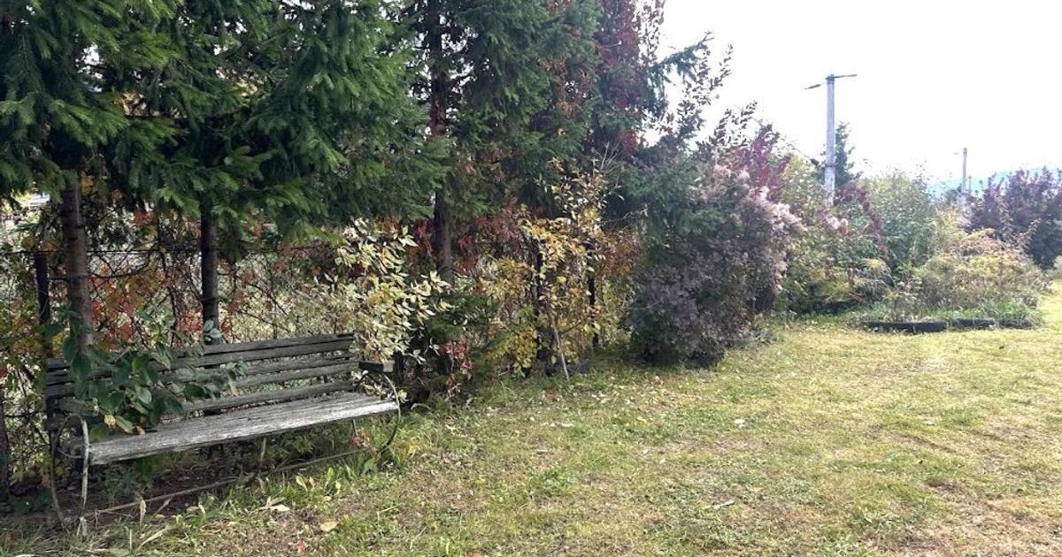 Casă de vânzare în Câmpulung Moldovenesc – Locație centrală, liniște și spațiu g