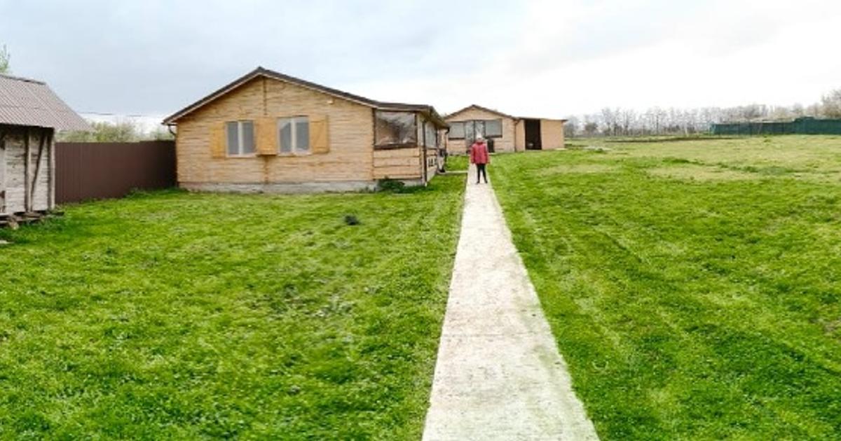 Oferta! Vând domeniu unicat (1 Ha) cu casă și livadă – Drăghiceanu, Giurgiu | Op