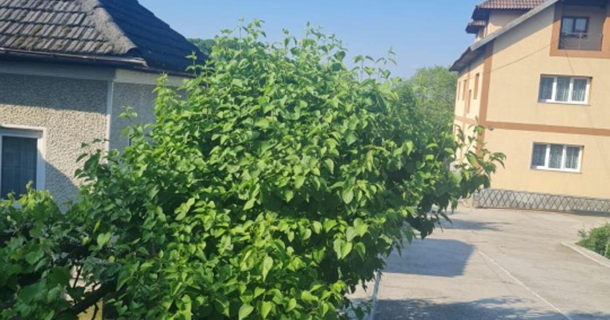 Imobil la 4km de Rm Valcea in Budesti