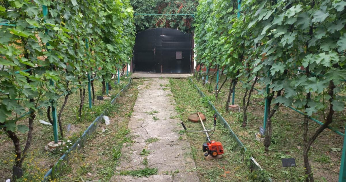 Casa individuala de vanzare in Timisoara | Teren 421 mp | Plopi