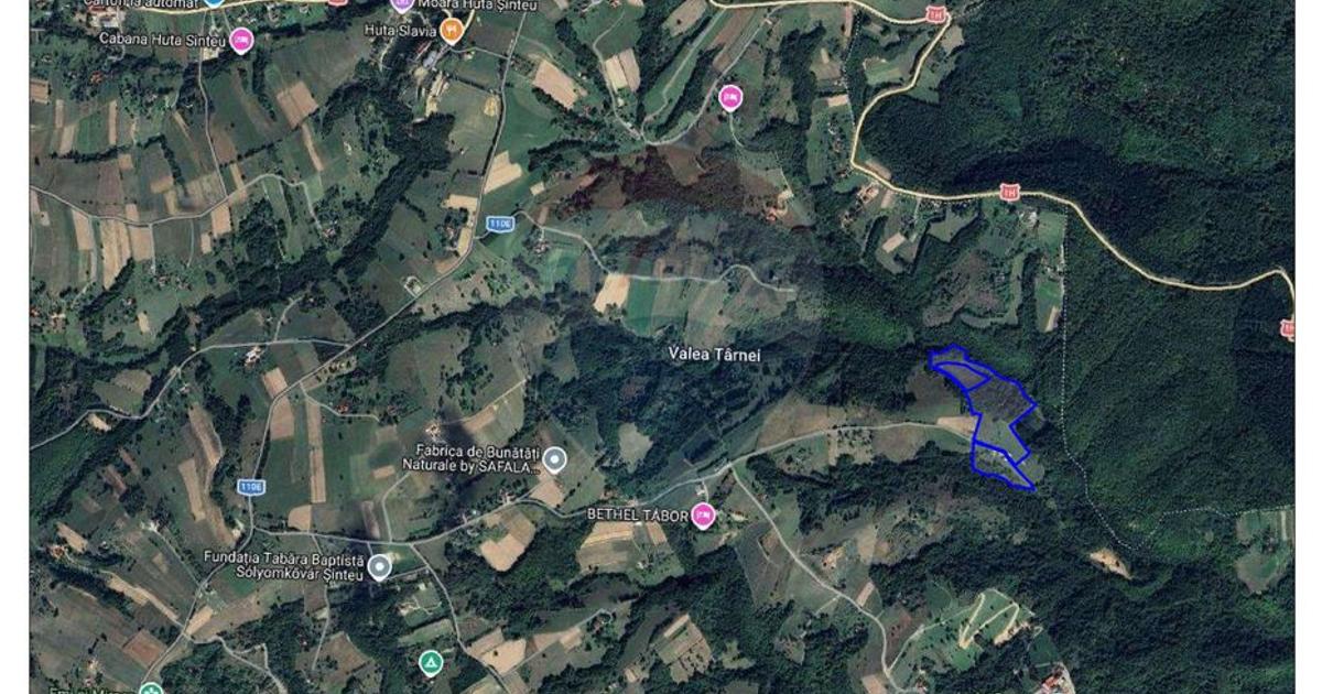 De vânzare casă cu teren și pădure 55706 mp - Șinteu, Valea Târnei