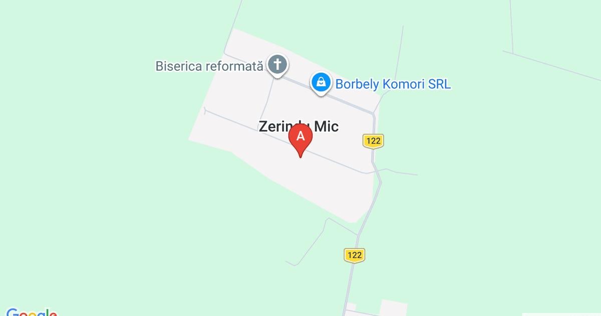 Vand casa cu 3 camere in Zerindul Mic Comuna Misca Jud ARad