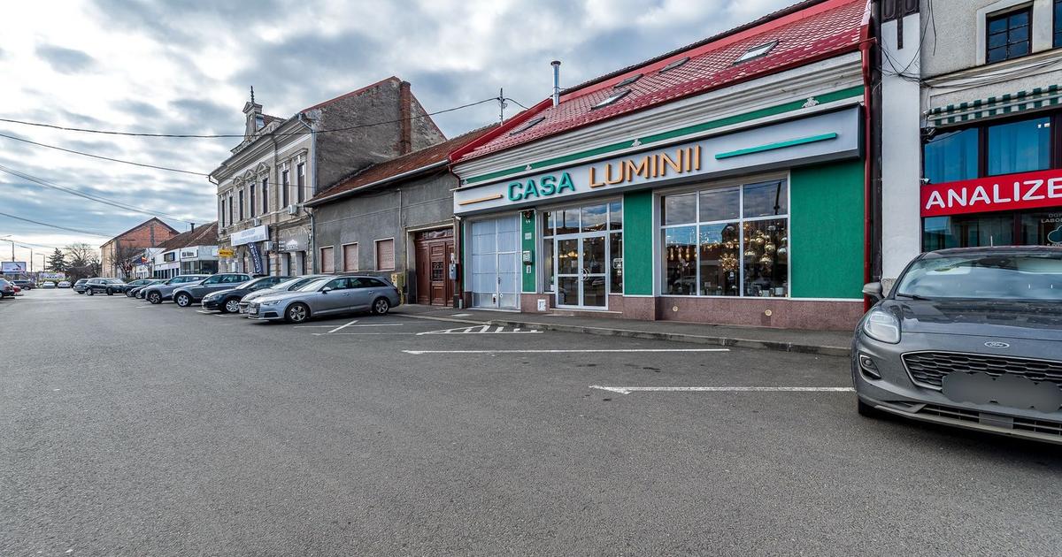 3 surse de venit într-o SINGURĂ proprietate de 950 mp în Aradul Nou