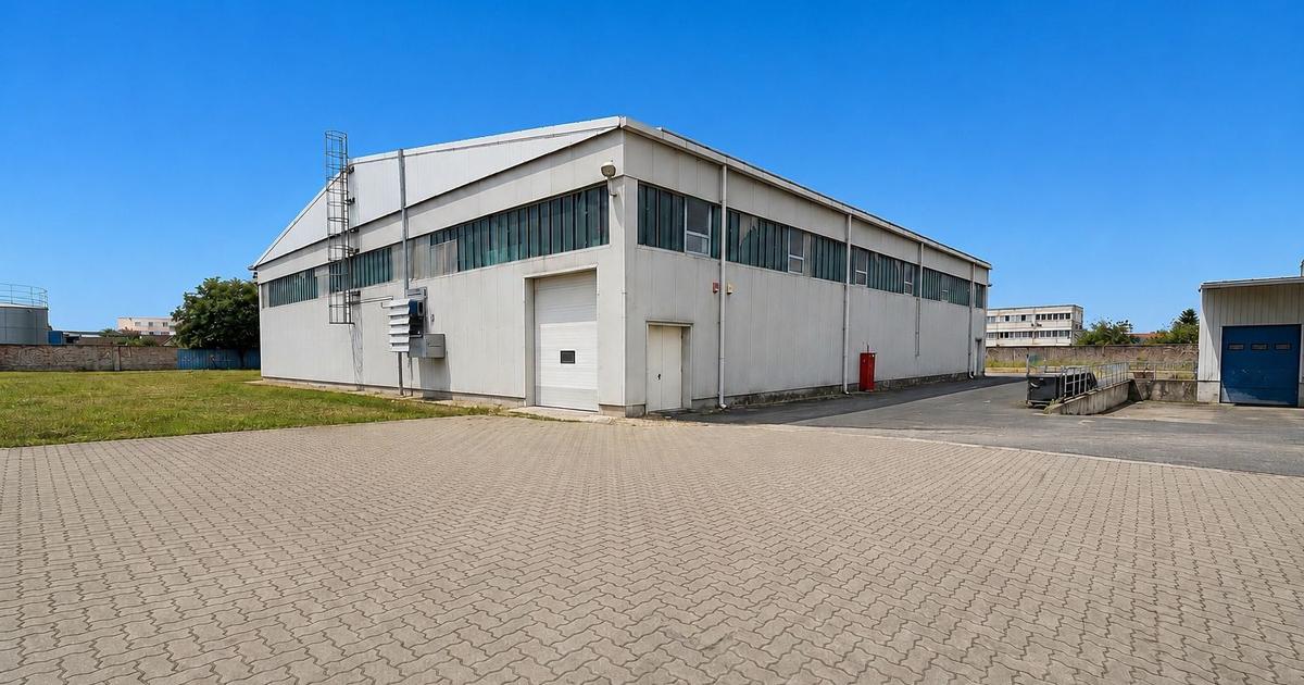Hala industrială, Sanicolau Mic, suprafata 1.354 mp
