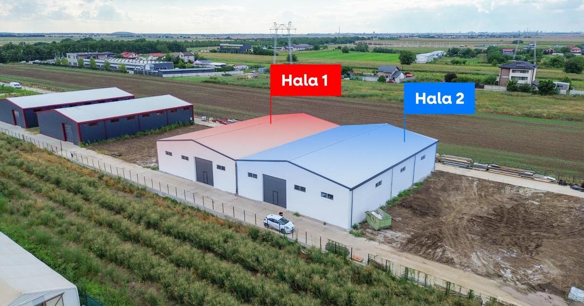 Închiriere Hale Industriale – Frumușani, Județul Călărași