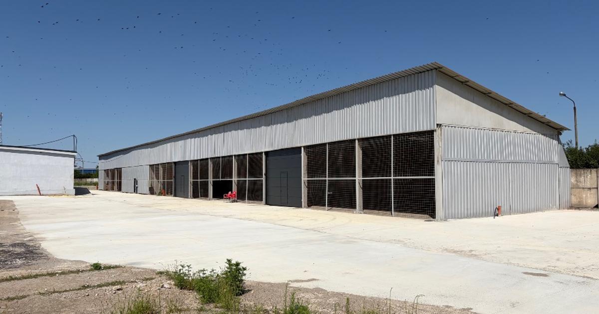 Hale productie depozitare logistica