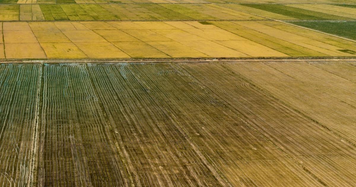 Proprietar, vând teren agricol
