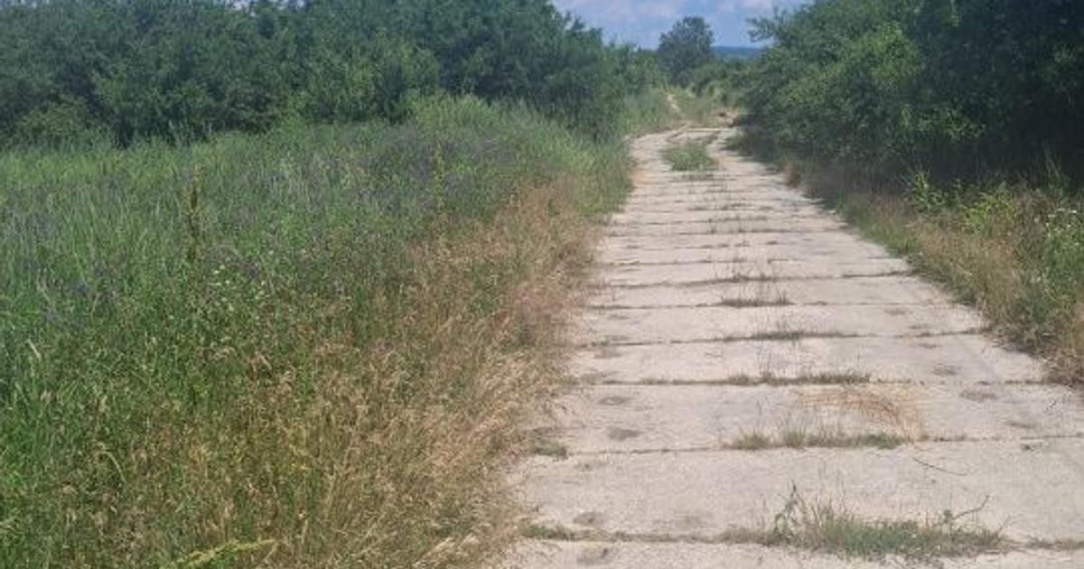 Teren extravilan 2.500 mp | Str. Ana Ipătescu, Târgu Jiu