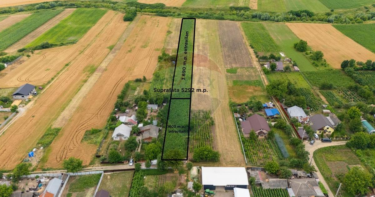 Teren generos de 5.292 m.p. in Silistea (Todiresti,Vaslui)