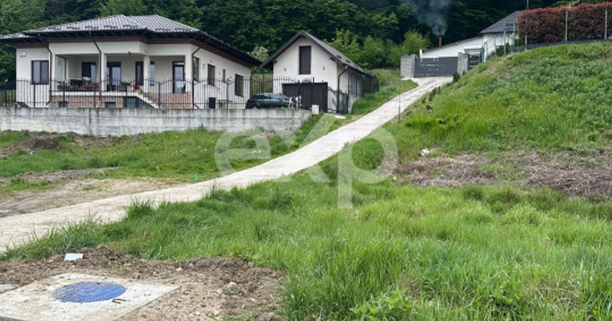 PANORAMĂ UNICĂ! Teren 807 mp la liziera pădurii – Bascov | Utilități la limită |