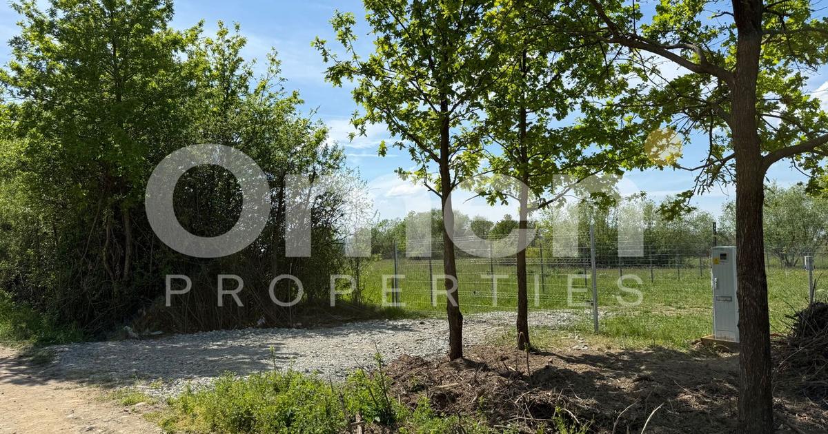 Teren intravilan | Bozanta Mică | 1000 mp | perfect pentru casa | Comision 0%