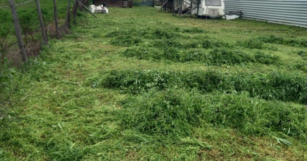 Teren INTRAVILAN în Delta Dunării – 1035 mp – Chilia Veche – locație rară