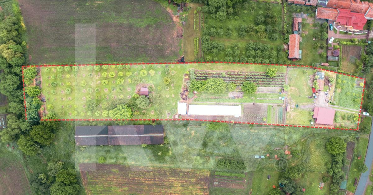 Teren intravilan 7.979 mp | ideal glamping, pensiune sau investiție | Mureș