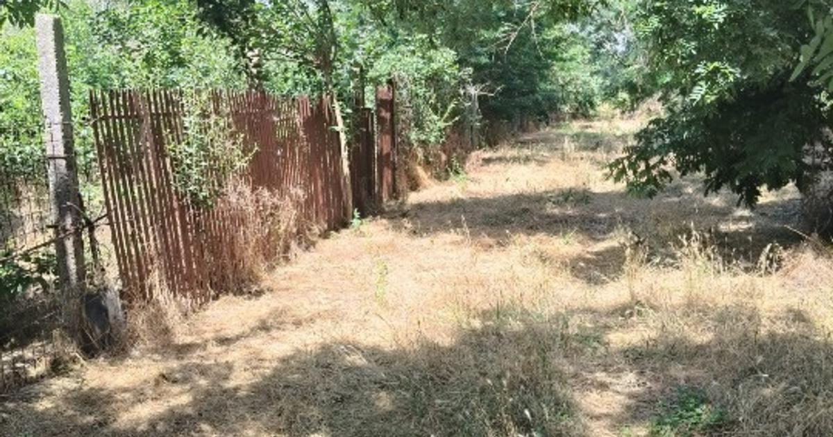 Vând teren intravilan – 2.500 mp – Roșiori de Vede, Teleorman