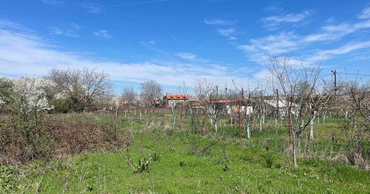 Proprietar vând teren intravilan în satul Runcu comuna  Dascalu