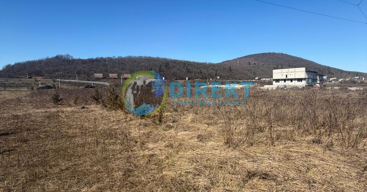 Teren intravilan de vânzare – zonă industrială / investiție – Sărățel, jud. Bist