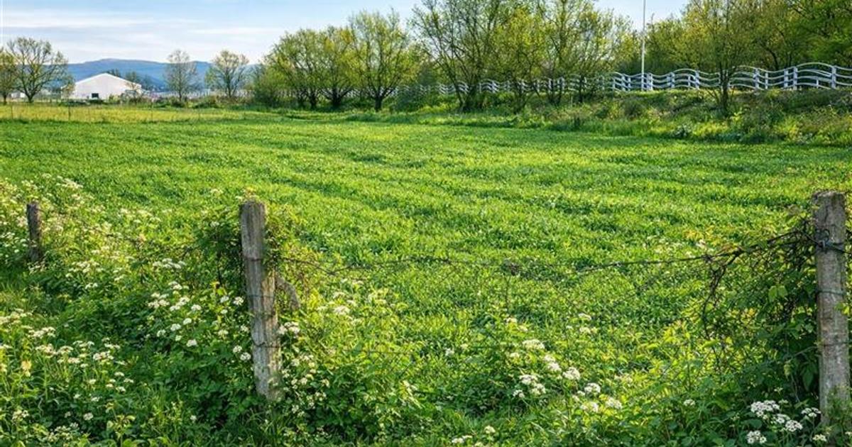 Teren extravilan 1.450 mp, din care curti constructii 312 mp, Sfantu Gheorghe
