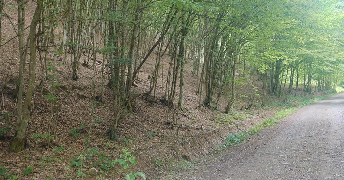 Teren in Bulzestii de Sus 3700mp