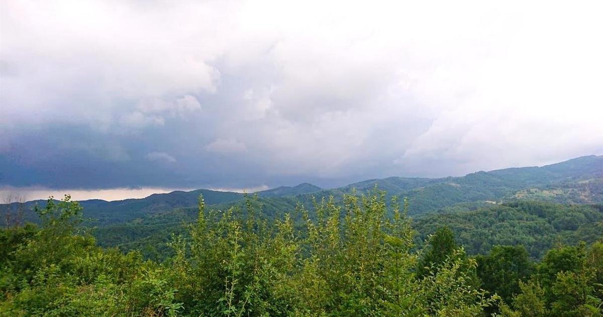 Teren cu Padure in Bulzestii de Sus 4200mp