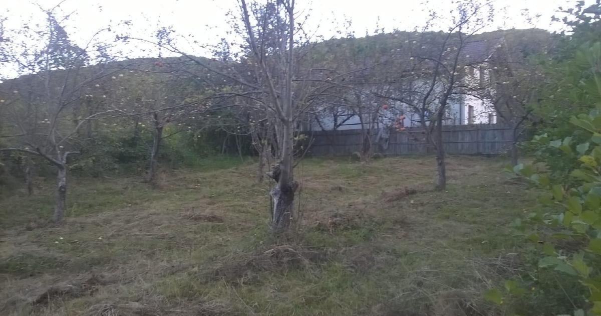 Teren intravilan Priporu, Vladesti, Valcea