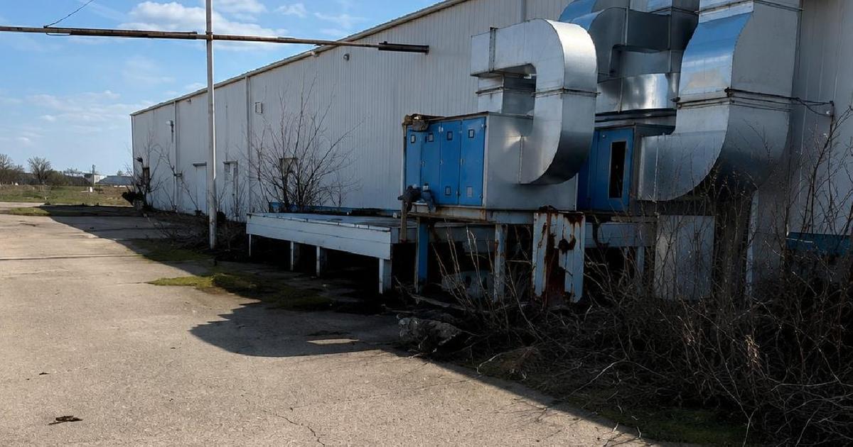 PLATFORMA INDUSTRIALA 21.000 MP + HALE PRODUCTIE - URZICENI ~ IALOMITA