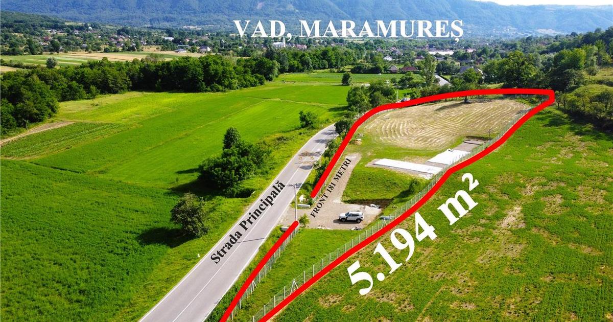 Teren 5.194 m² | 181 metri front la strada Principala (DJ 182C) | Servicii