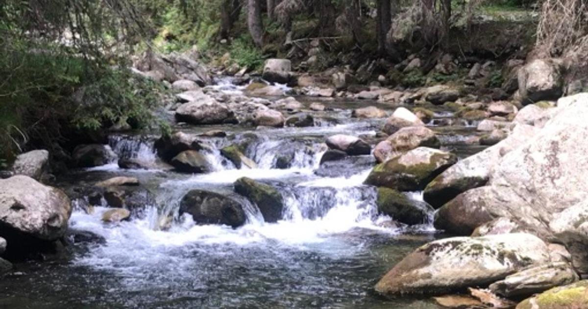 Teren intravilan într-una dintre cele mai frumoase zone montane din România
