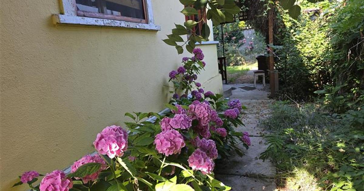 CASA DE VANZARE ZONA TABACOVICI