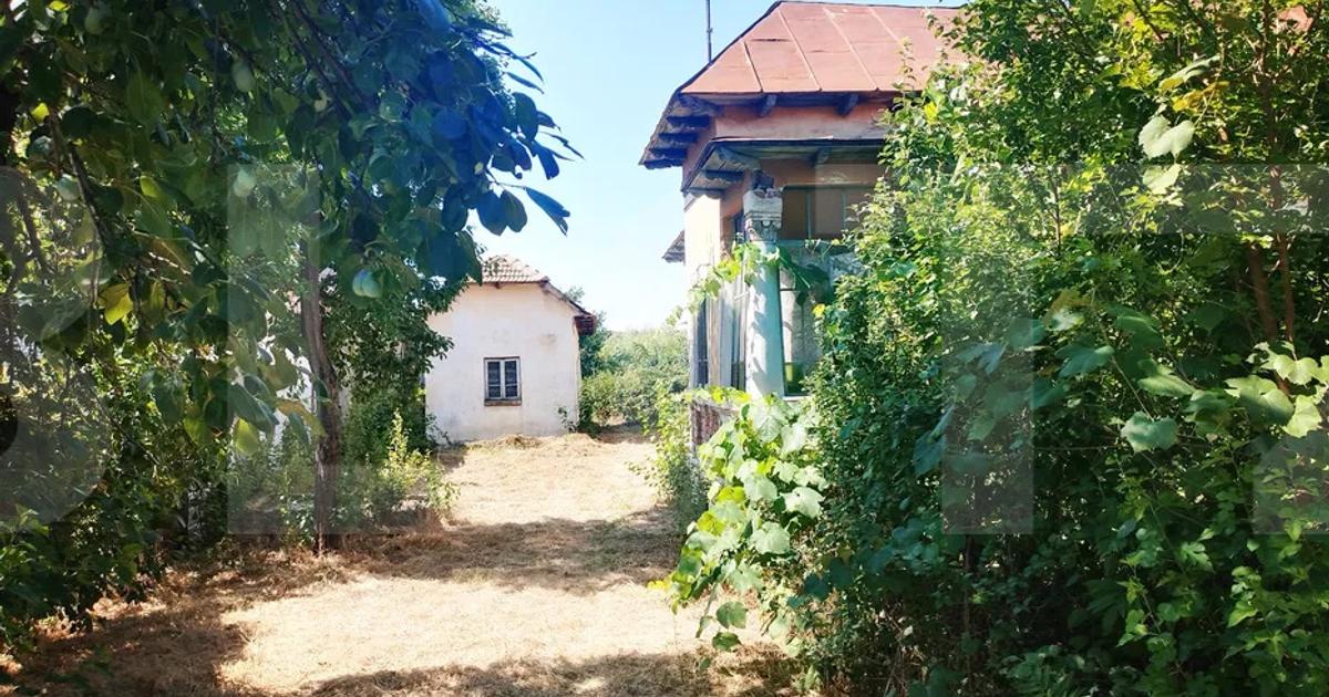 Urgent! Casă cu teren 5.038 mp, Pleșoiu-Arcești, stradă principală