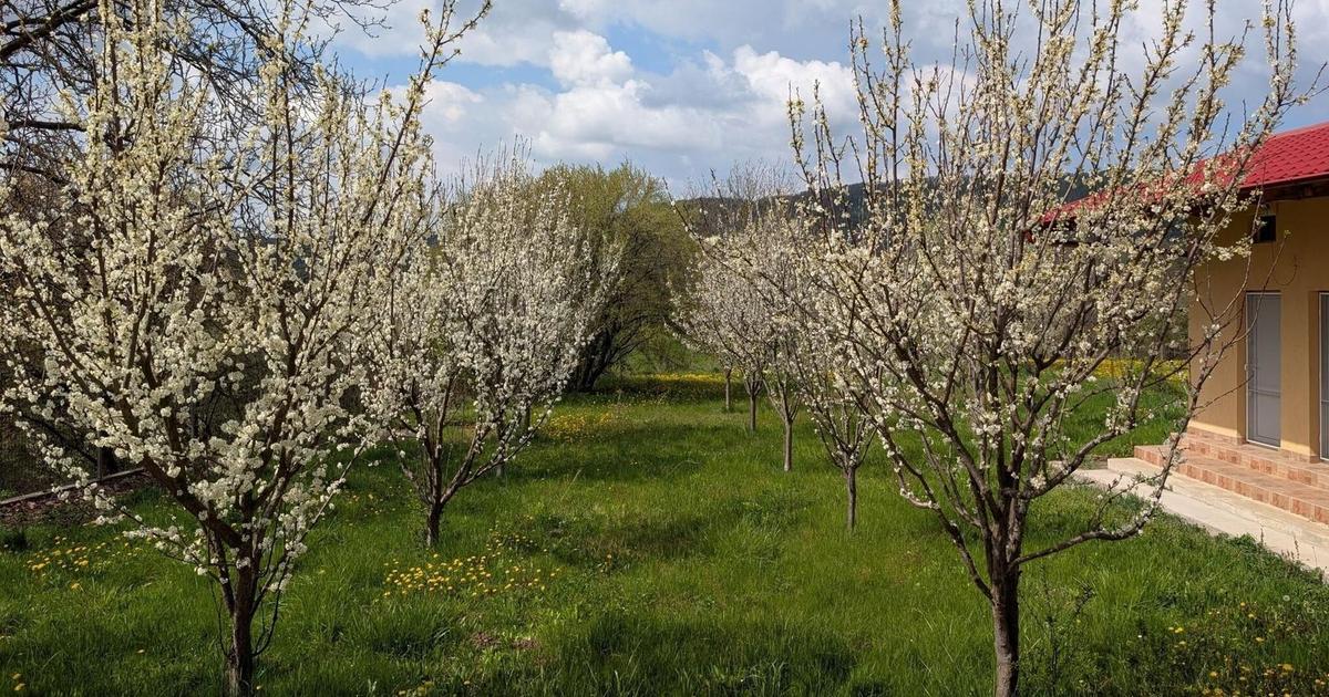 Arges | Valea Mare-Bratia | Vila 276 mp Lot 2063 mp | Zona Pitoreasca!