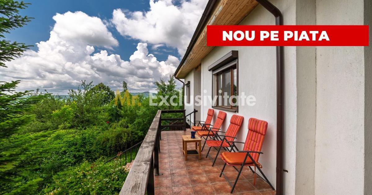 Casa moderna si casa bunicii + 6300 mp teren,Oaza autentica in Corbi Arges-