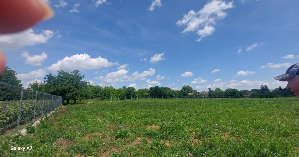 Snagov- Gruiu- Santul Floresti -Proprietate cu stil pentru oameni gospodari!