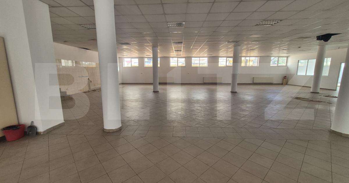 Spatii comerciale de inchiriat, 773 mp, zona Lucian Blaga