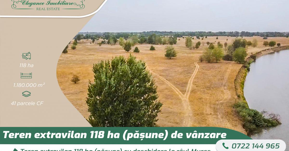 Teren extravilan 118 ha(pășune) cu deschidere la râul Mureș, Loc.Secusigiu, Arad