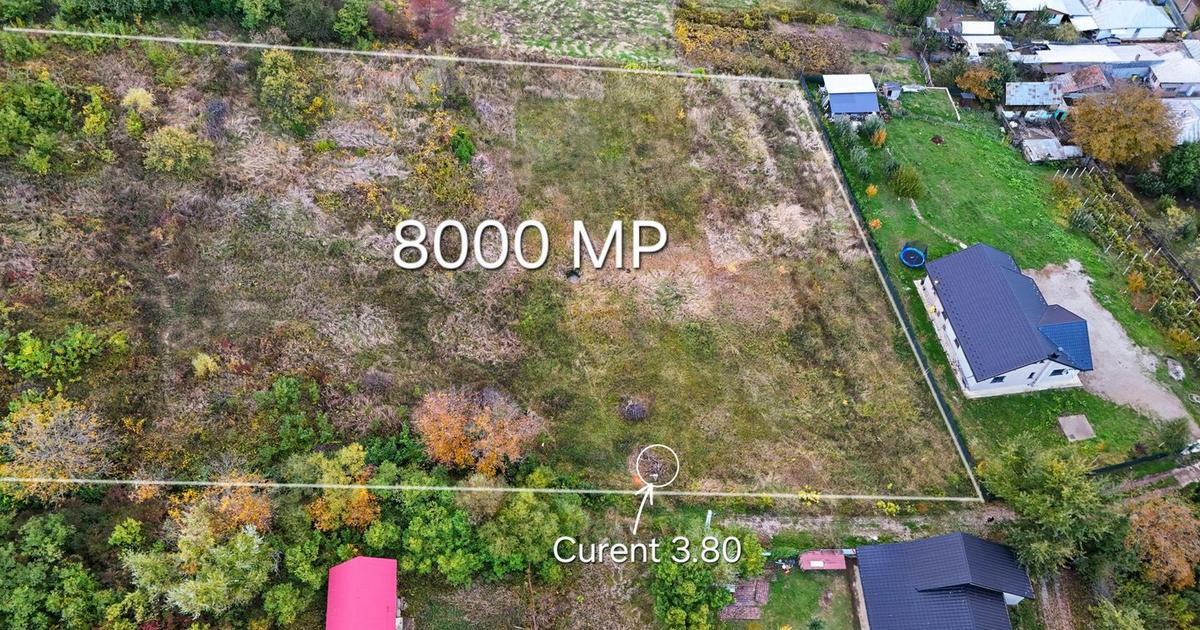 8.000 mp de teren intravilan, la marginea pădurii – Gârlenii de Sus, Bacău