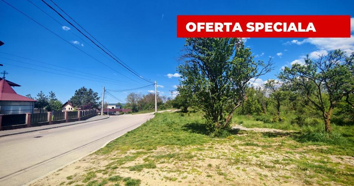 Teren intravilan 2.000 mp in Mioveni – Ideal pentru casa sau investitie!