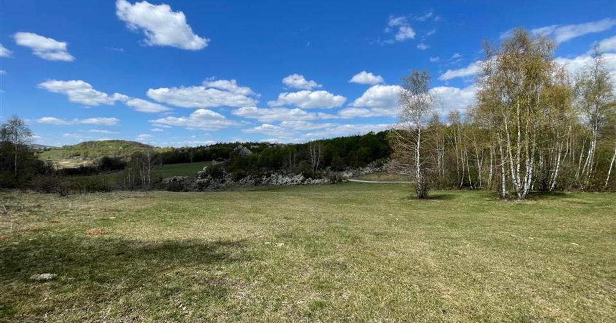 TEREN EXTRAVILAN | 103.000mp | BALANACA-GROSI | PASUNE | PASUNE IMPADURITA | BIH