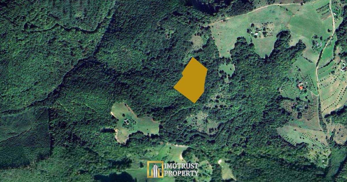 Pădure și pășune de vânzare 8,2037 ha Borod, Bihor