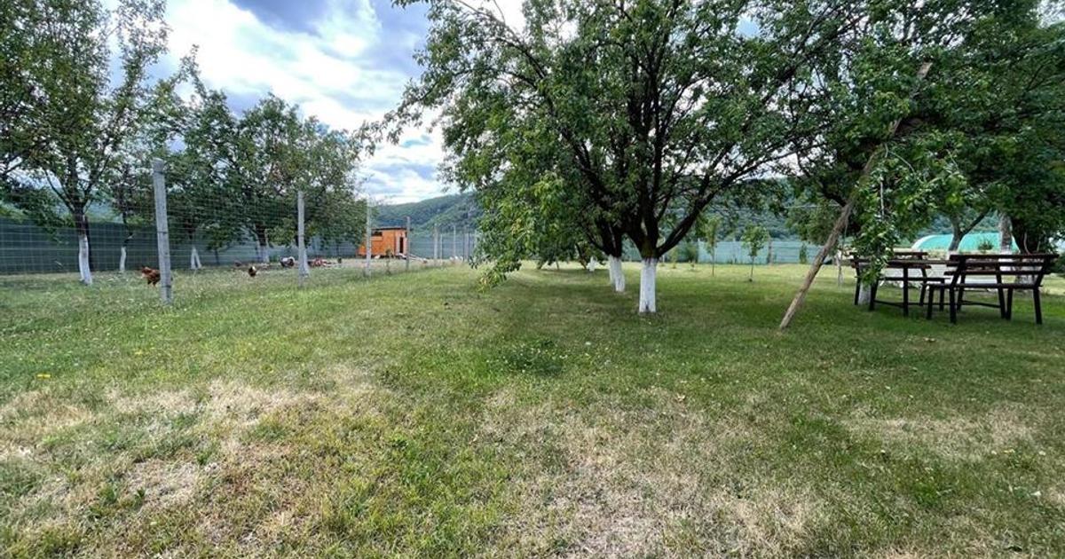 TEREN INTRAVILAN 8000 MP | PARTIAL IMPREJMUIT | PESTERE | BIHOR |
