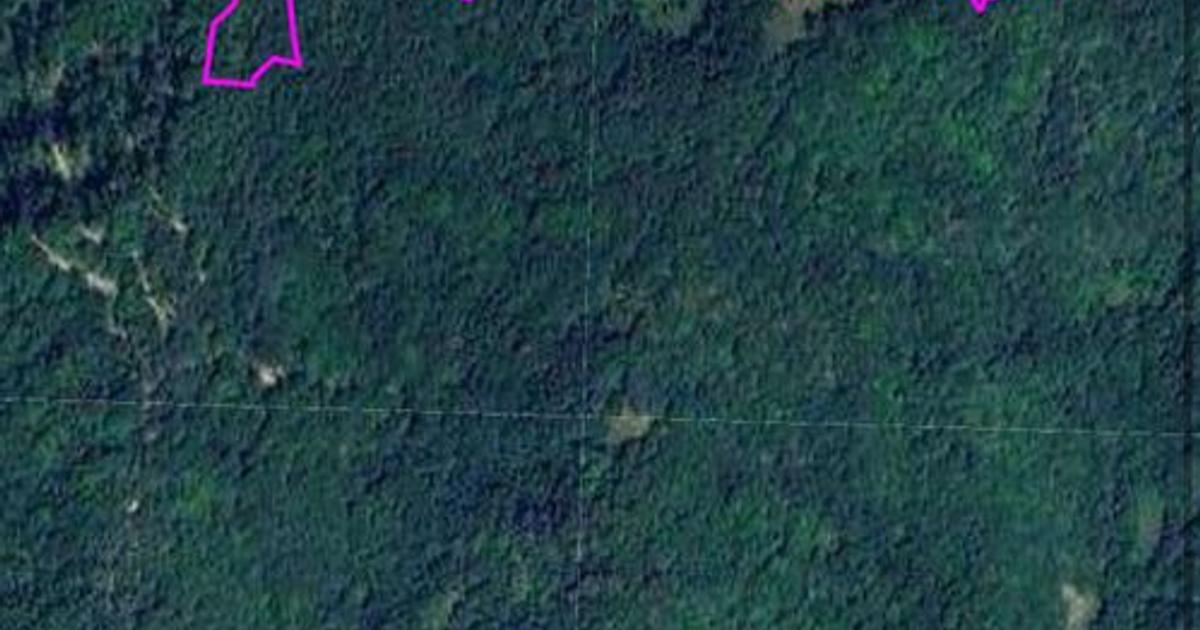 Teren pădure 64000 mp Pietroasa spre Boga
